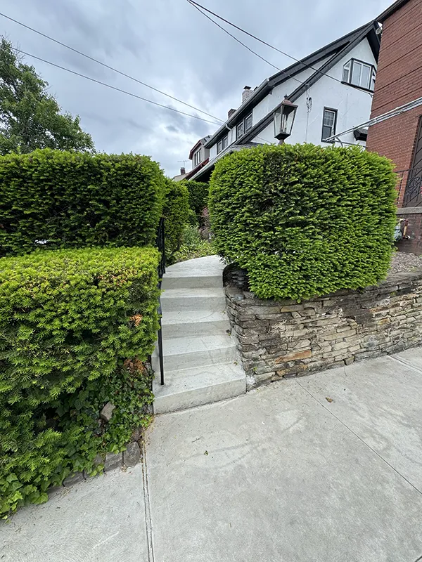 Squirrel hill gallery during